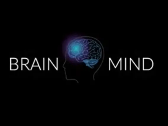 brainmind2